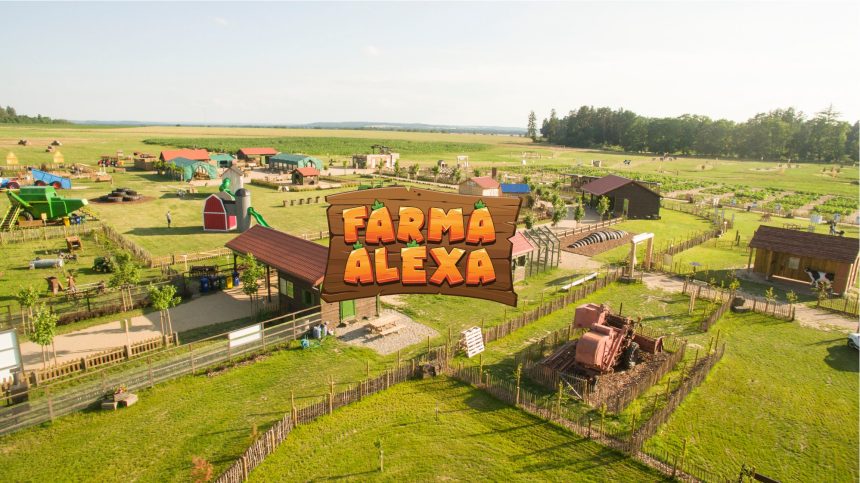 Labirynt w Kukurydzy i Atrakcje Rolnicze
