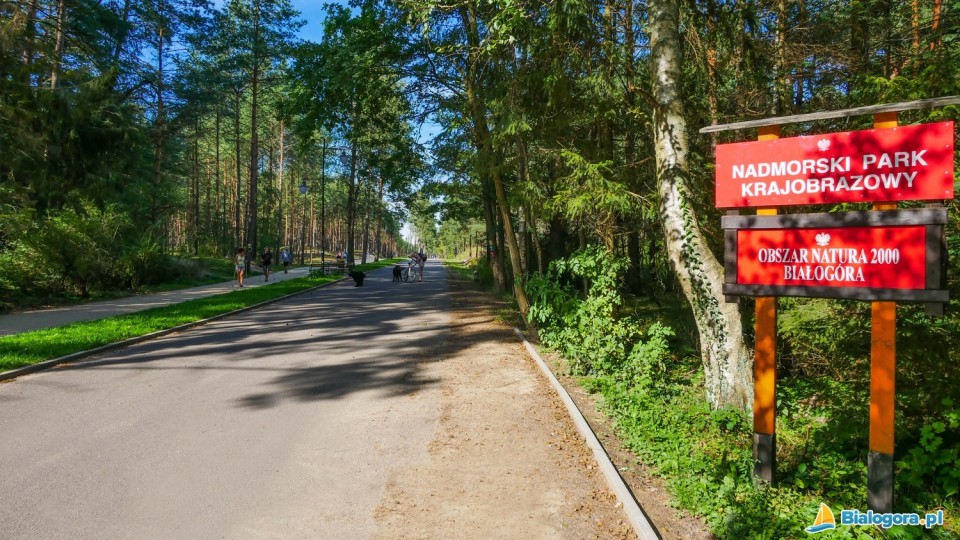 bialogora_rezerwat_przyrody